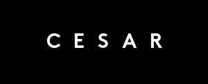 Logo long